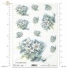 szarotka, kwiat, ogród, łąka, wiosna, autorka grafiki Maria Kopeć, R902, edelweiss, flower, garden, meadow, spring, Edelweiß, Blume, Garten, Wiese, Frühling, edelweiss, flor, jardín, prado, primavera